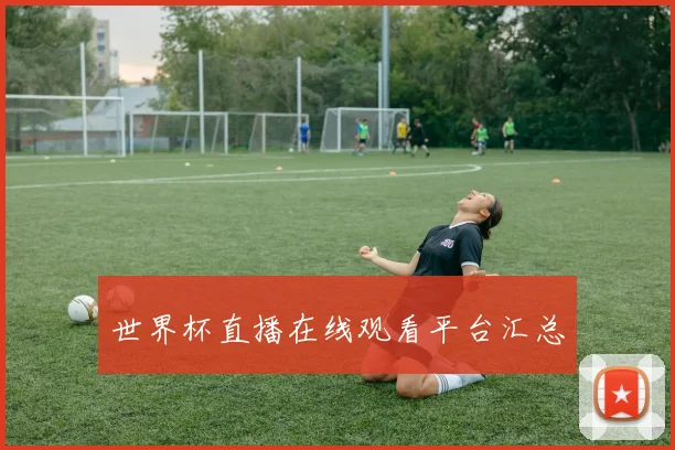 世界杯直播在线观看平台汇总