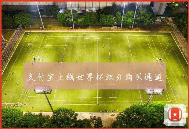 支付宝上线世界杯积分购买通道