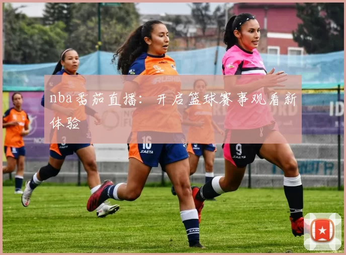 nba番茄直播：开启篮球赛事观看新体验