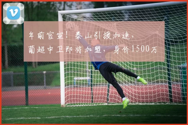 年前官宣！泰山引援加速， ​​​葡超中卫即将加盟，身价1500万