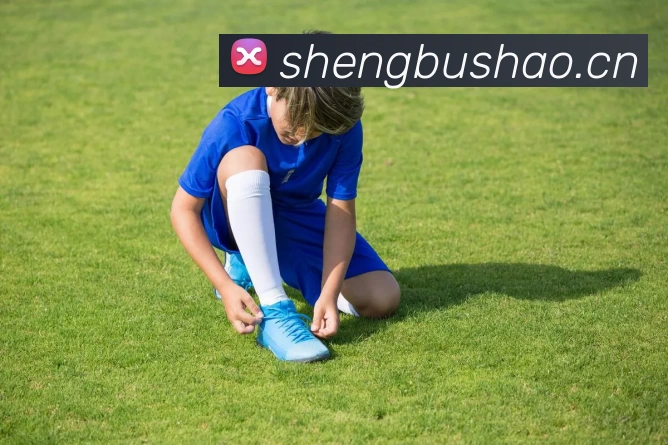 九游体育app手机版入口平台生态图