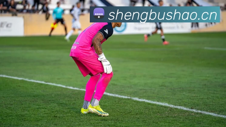 数据防护可视化